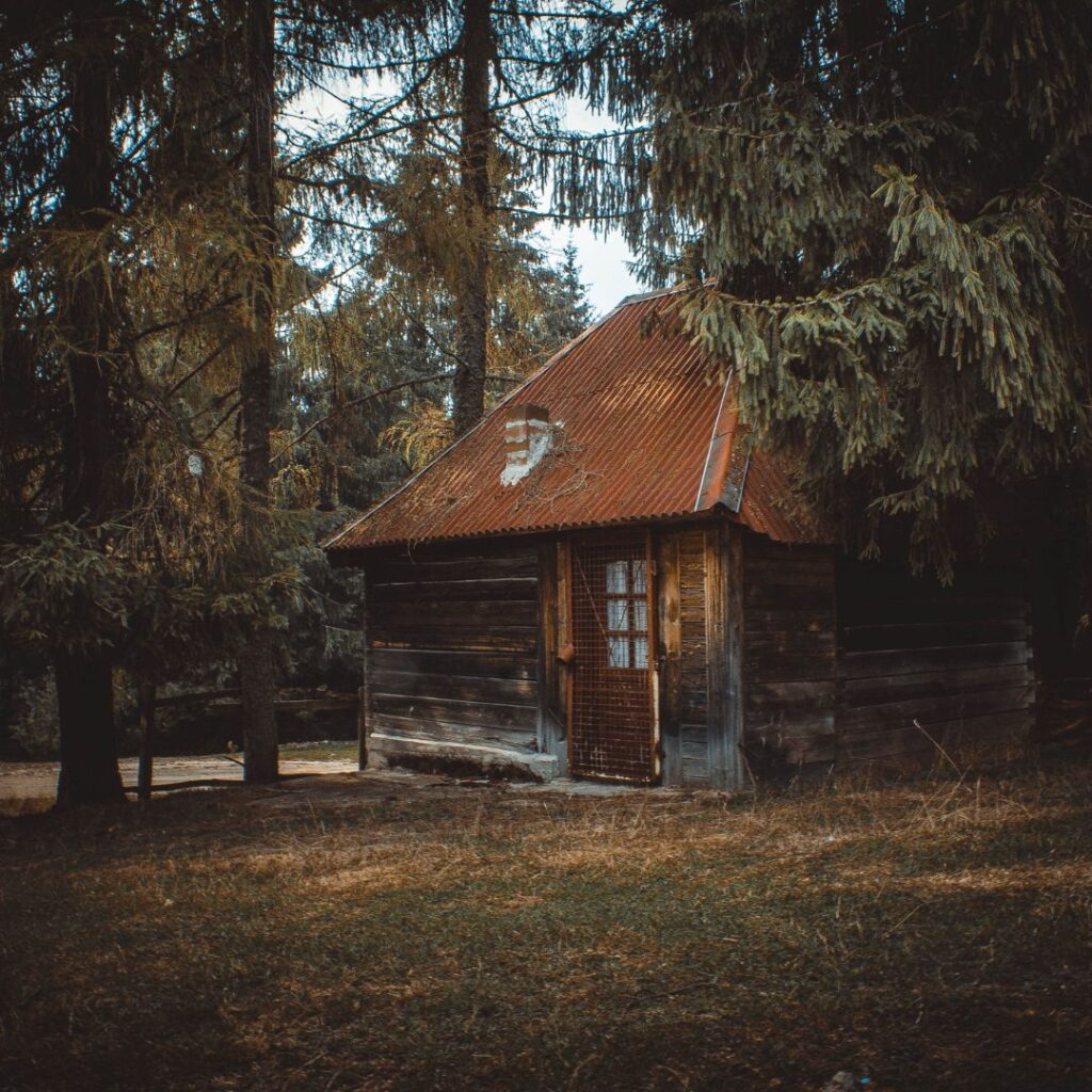 Haunted cabin in the woods